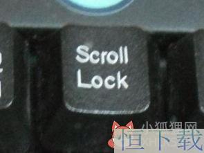 键盘上scrolllock 是干哪些的？
