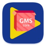 GMS安装器安卓版下载v4.8.4
