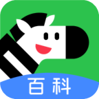 斑马百科app