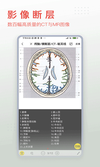 3dbody解剖app下载