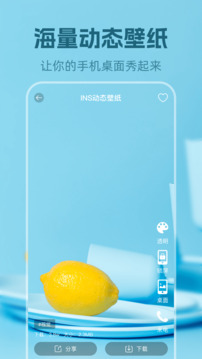 动态墙纸图片大全
